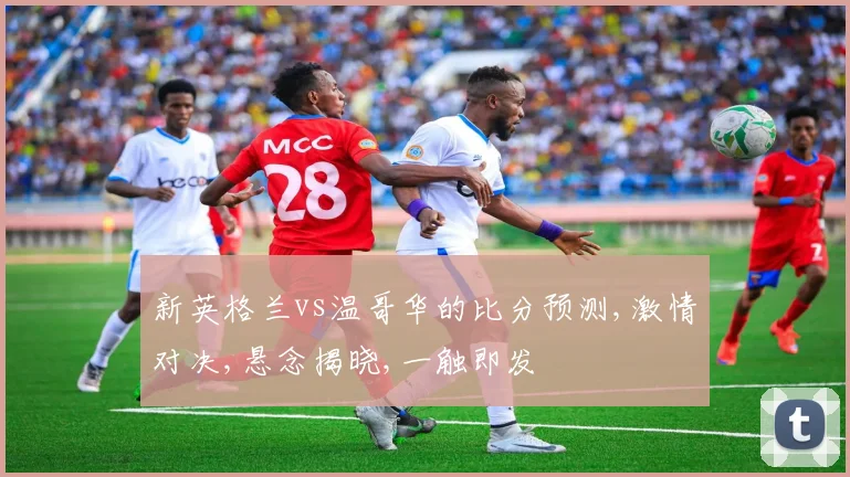 新英格兰vs温哥华的比分预测,激情对决,悬念揭晓,一触即发