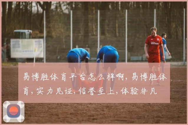 易博胜体育平台怎么样啊,易博胜体育,实力见证,信誉至上,体验非凡